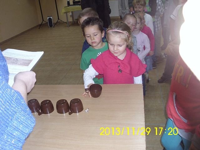 zdj (100)
